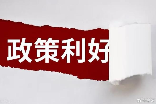 2024年11月18日 第21页