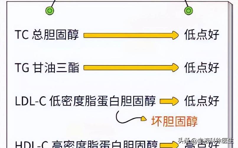 快速降低甘油三酯的秘诀,快递单号查询_123随叫随到