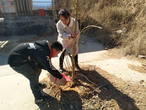 3月12日植树节,上门取货_123随叫随到