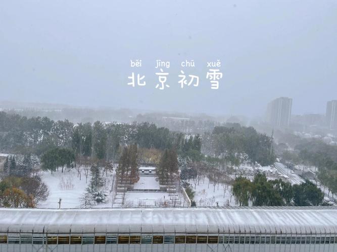 北京竟然下雪了,让发货找车找物流更简单_123随叫随到